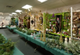 AA Importing, Inc. -  Show Room - Click to enlarge